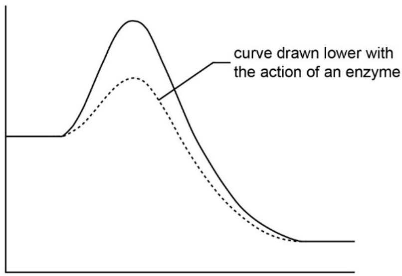 enzyme-catalysed curve with a lower activation-energy peak