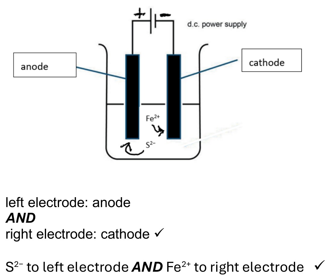Figure for Answer to Question IB Chemistry SL 3.2.5 Electrodes in Electrochemical Cells Questions question 1 — IB Chemistry SL