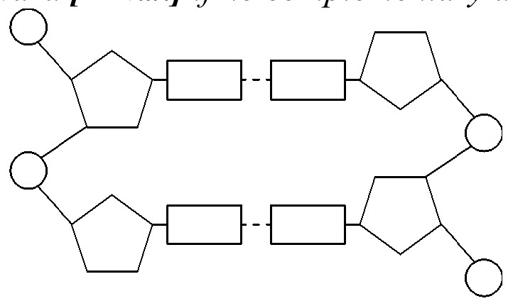 Figure for Answer to Question IB Biology HL A1.2.6 Dna As a Double Helix Questions question 1 — IB Biology HL