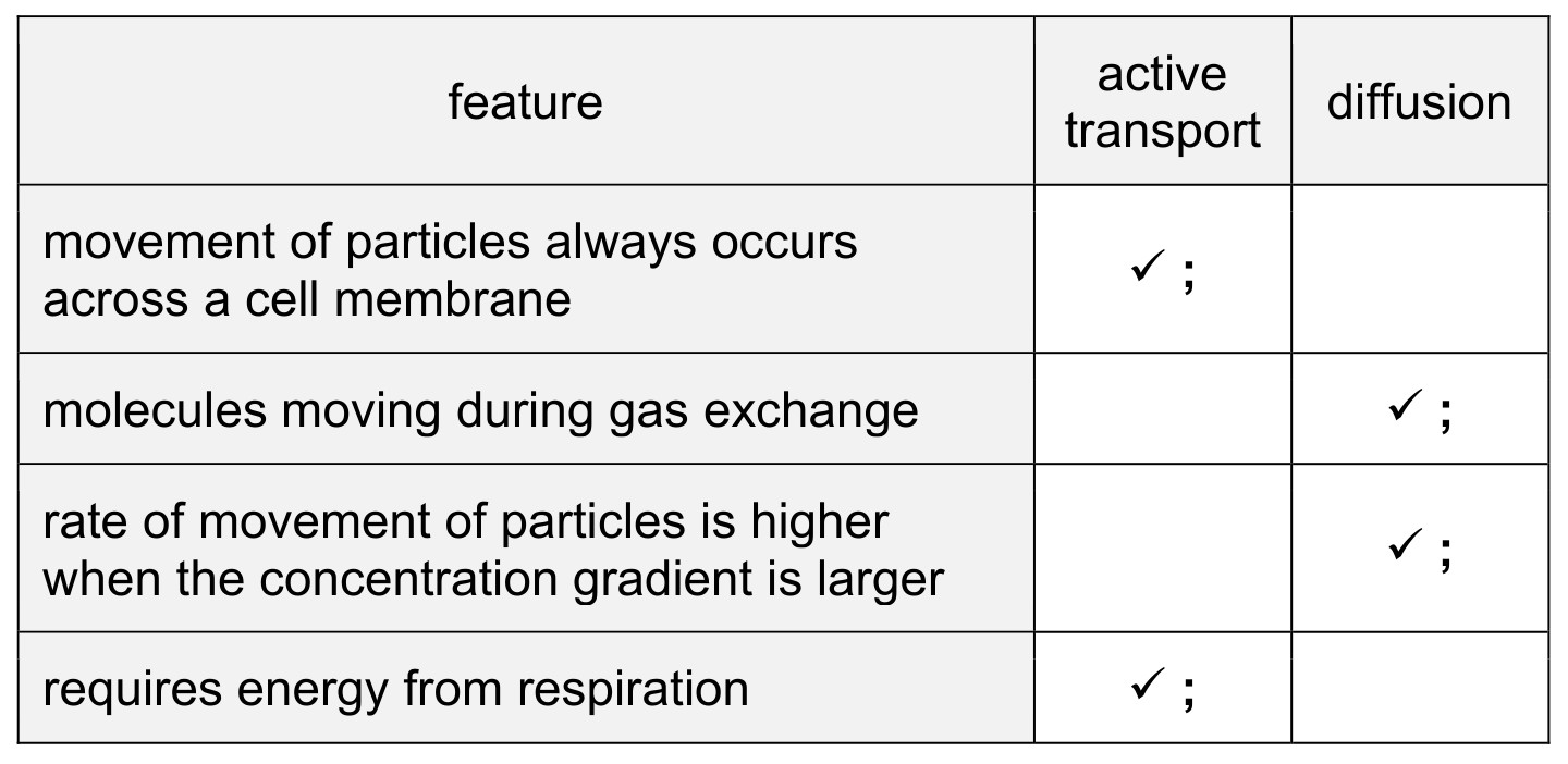 Figure for Answer to Question (a) — CAIE IGCSE Biology
