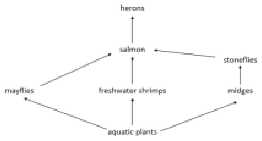 Official food-web answer