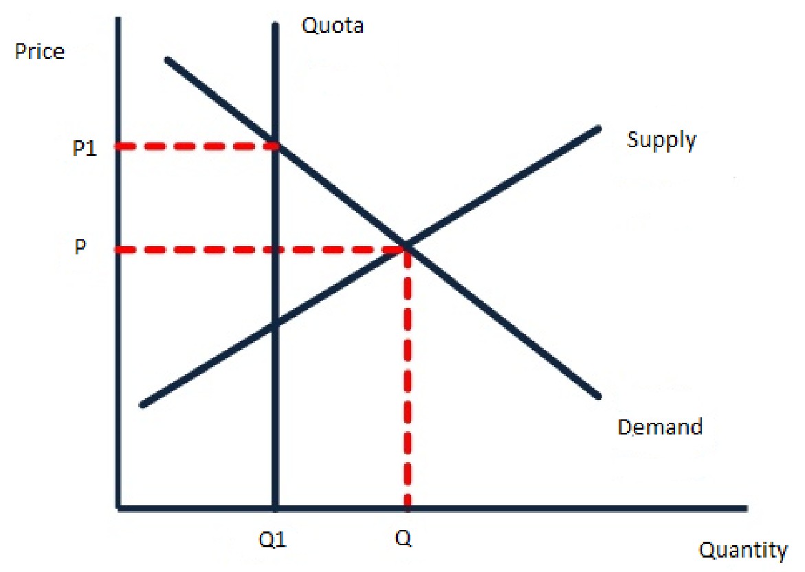 Figure for Answer to Question 5 — Edexcel IGCSE Economics