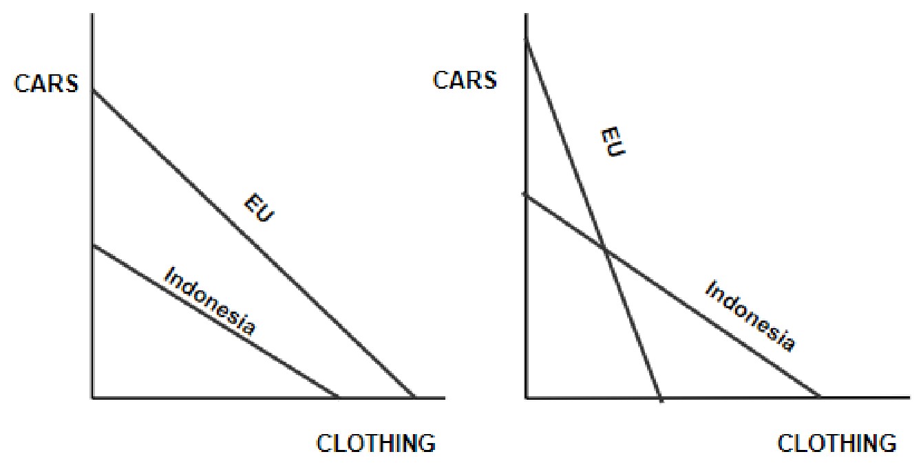 Figure for Answer to Question (a) — IB Economics HL