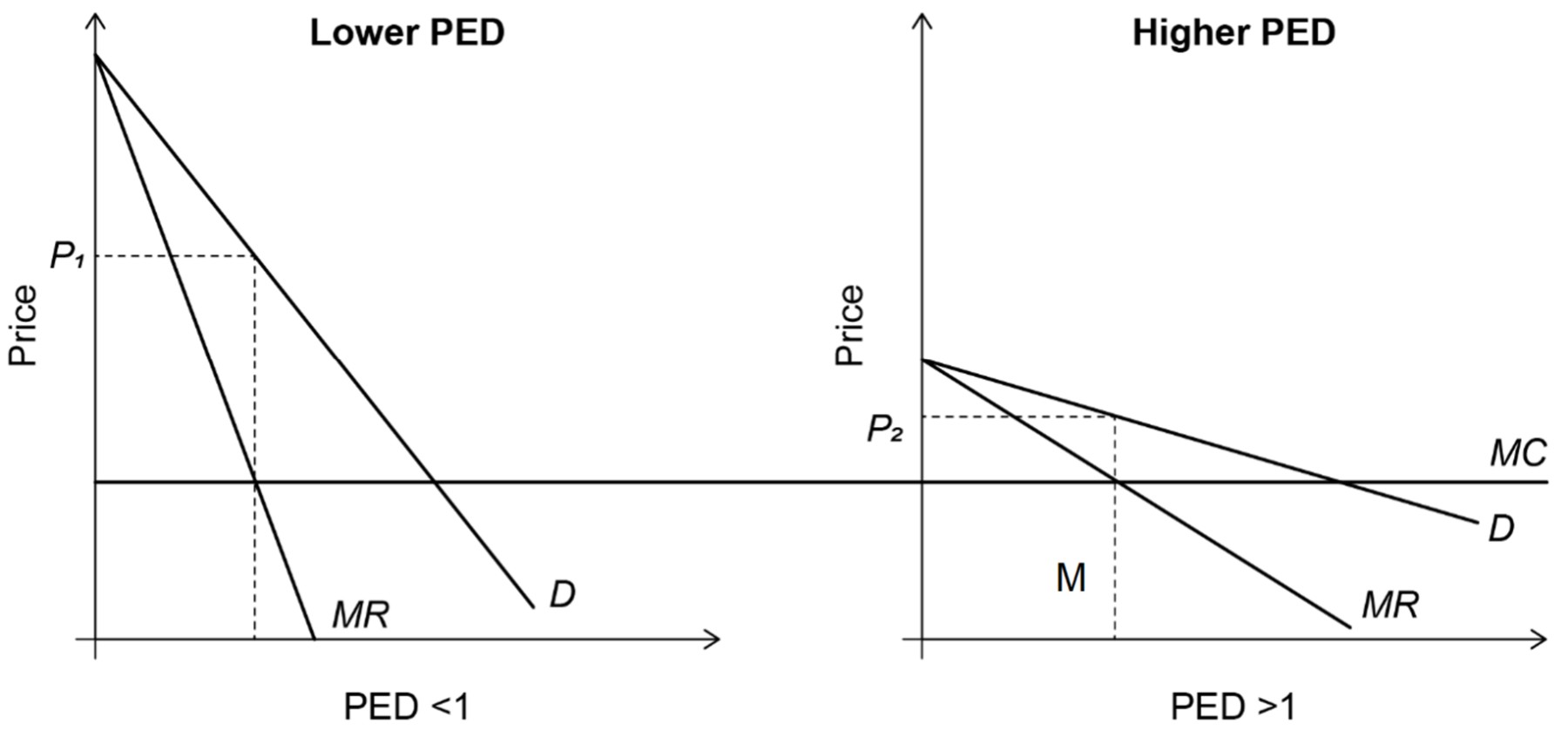 Figure for Answer to Question IB Economics HL 2.5.5 Determinants and Importance of Ped Questions question 1 — IB Economics HL