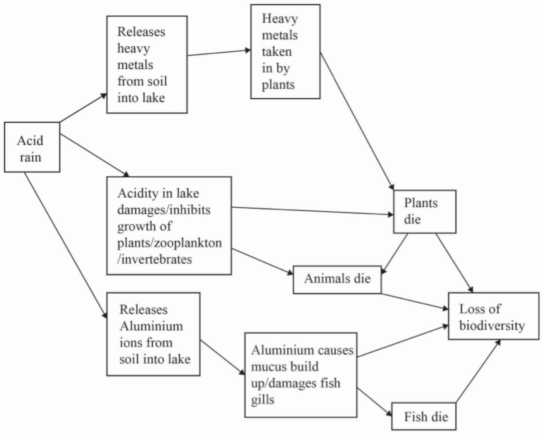 Figure for Answer to Question IB ESS SL 1.2.3 System Diagrams Questions question 1 — IB ESS SL