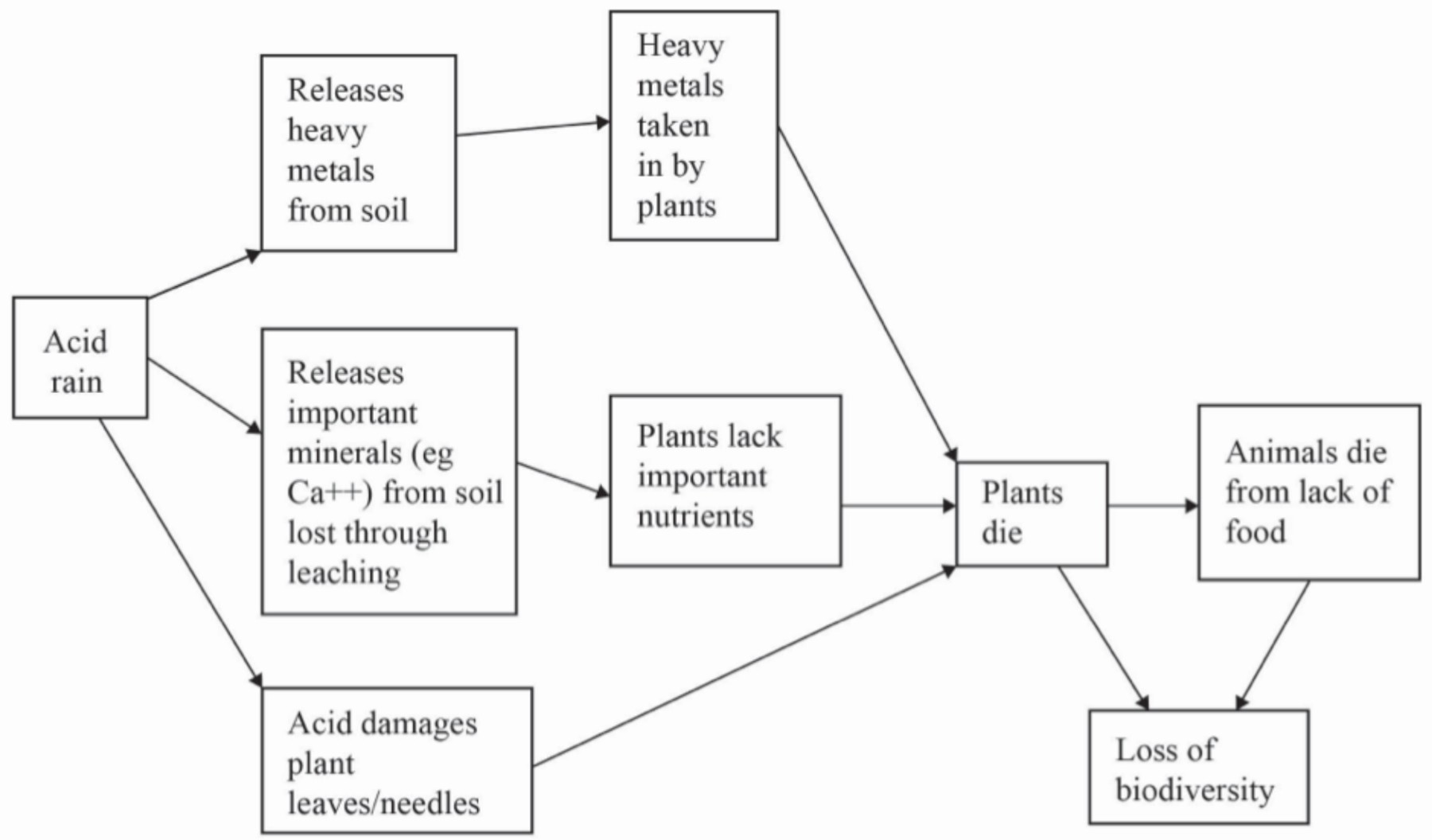 Figure for Answer to Question IB ESS SL 1.2.3 System Diagrams Questions question 1 — IB ESS SL