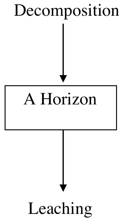 Figure for Answer to Question IB ESS HL 5.1.8 Soil Flow Diagrams Questions question 1 — IB ESS HL