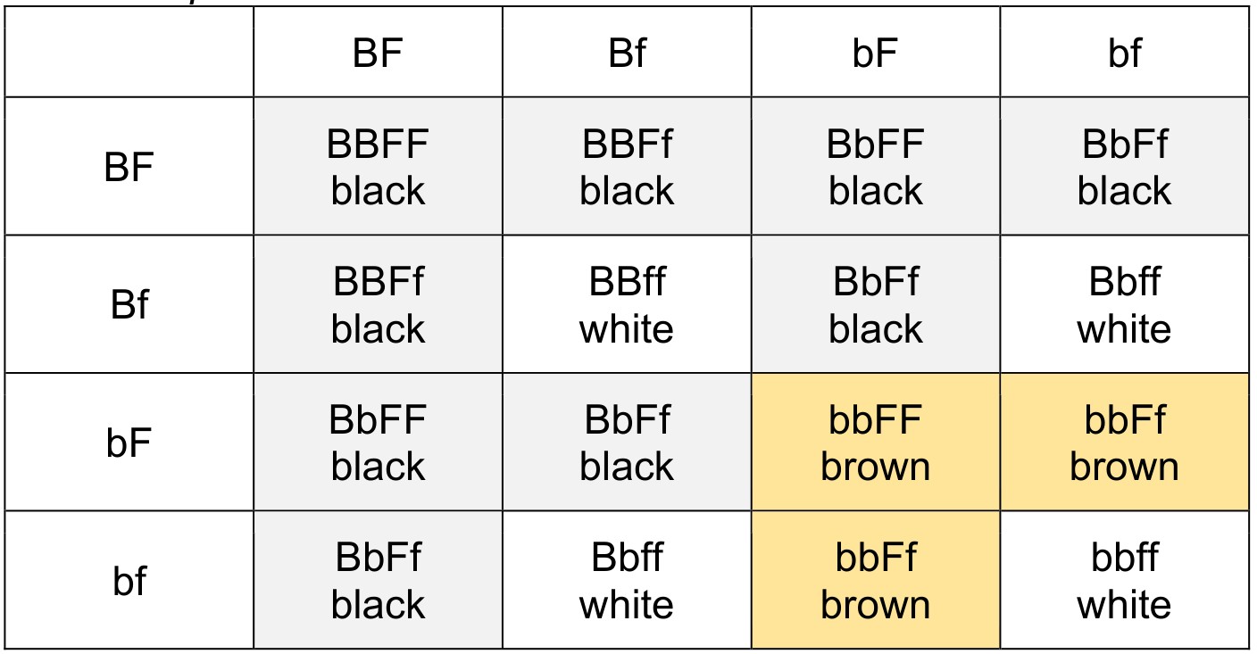 Figure for Answer to Question (b) — CAIE A-Level Biology A2