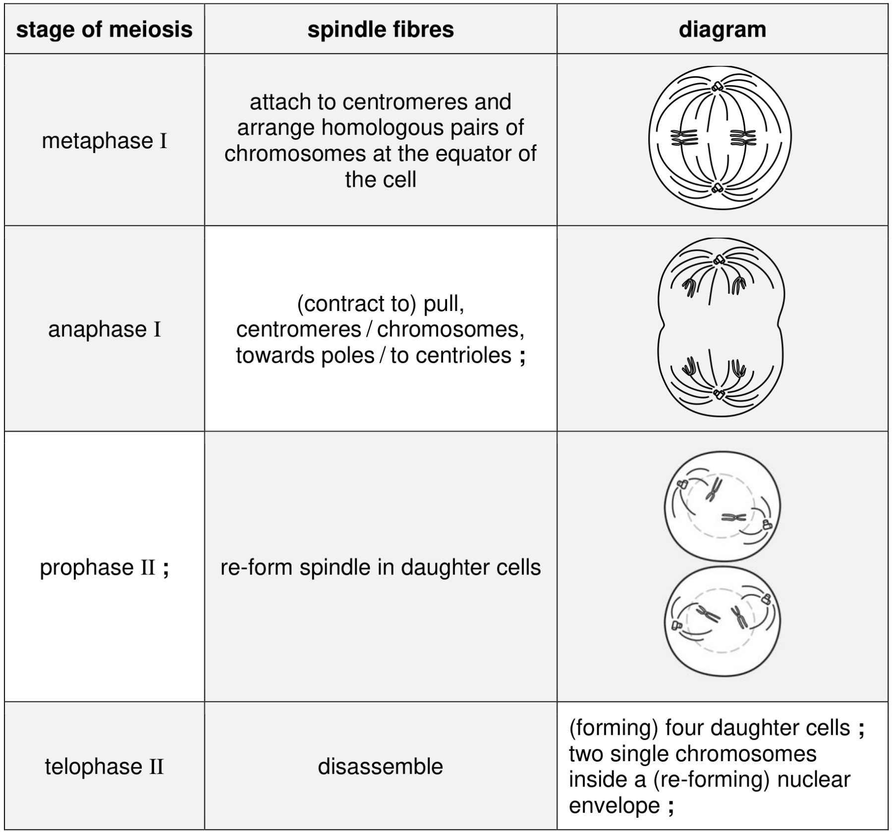 Figure for Answer to Question (a) — CAIE A-Level Biology A2