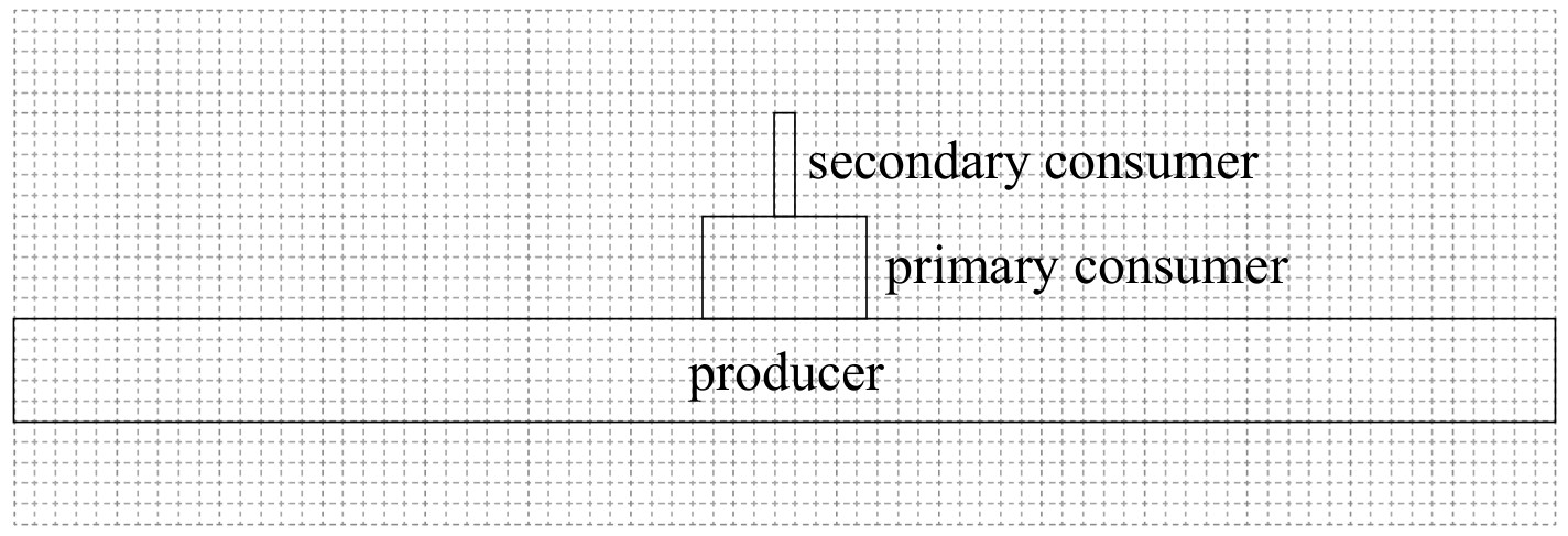 Figure for Answer to Question IB Biology SL C4.2.11 Energy Pyramids Questions question 1 — IB Biology SL