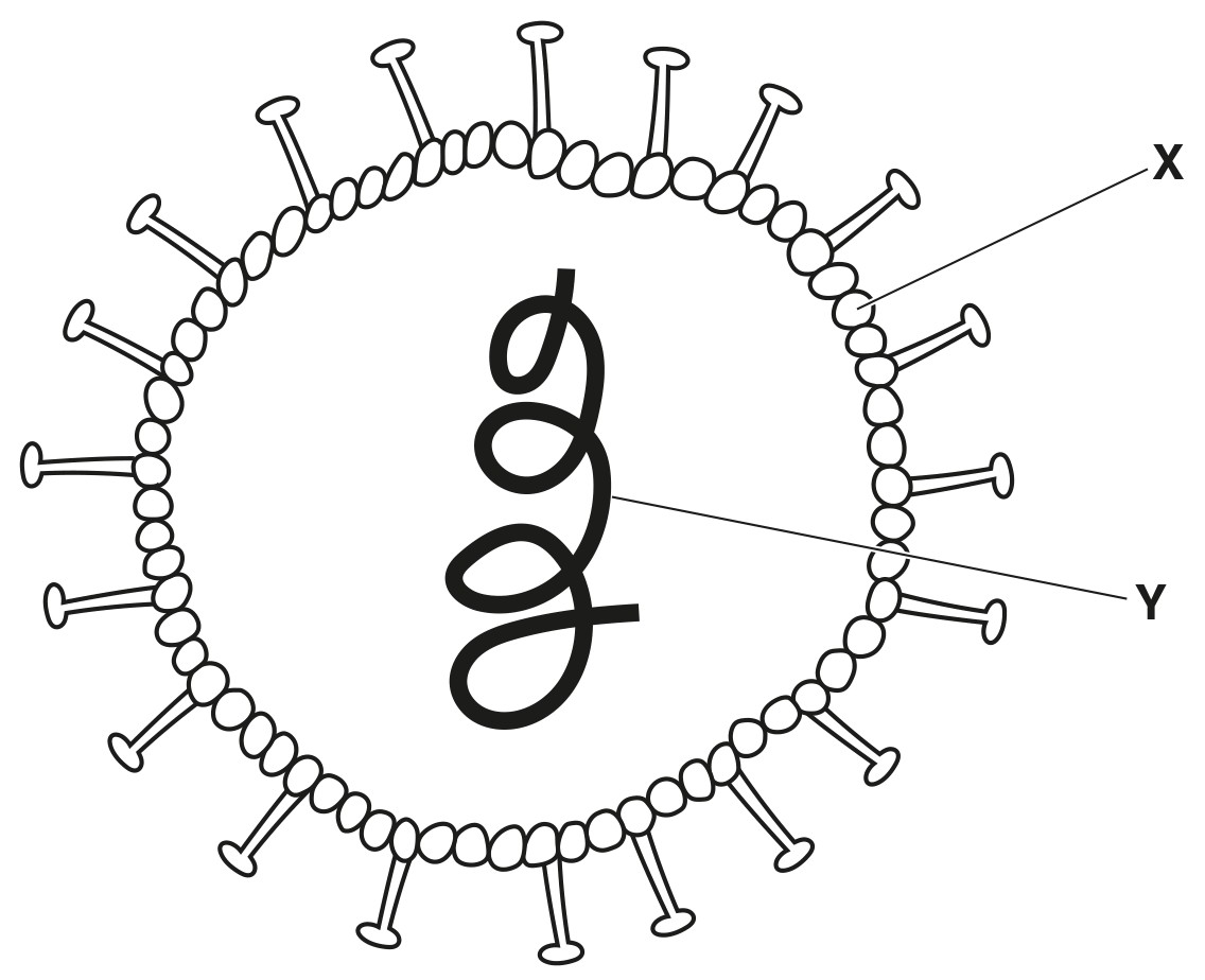 Fig. 6.1