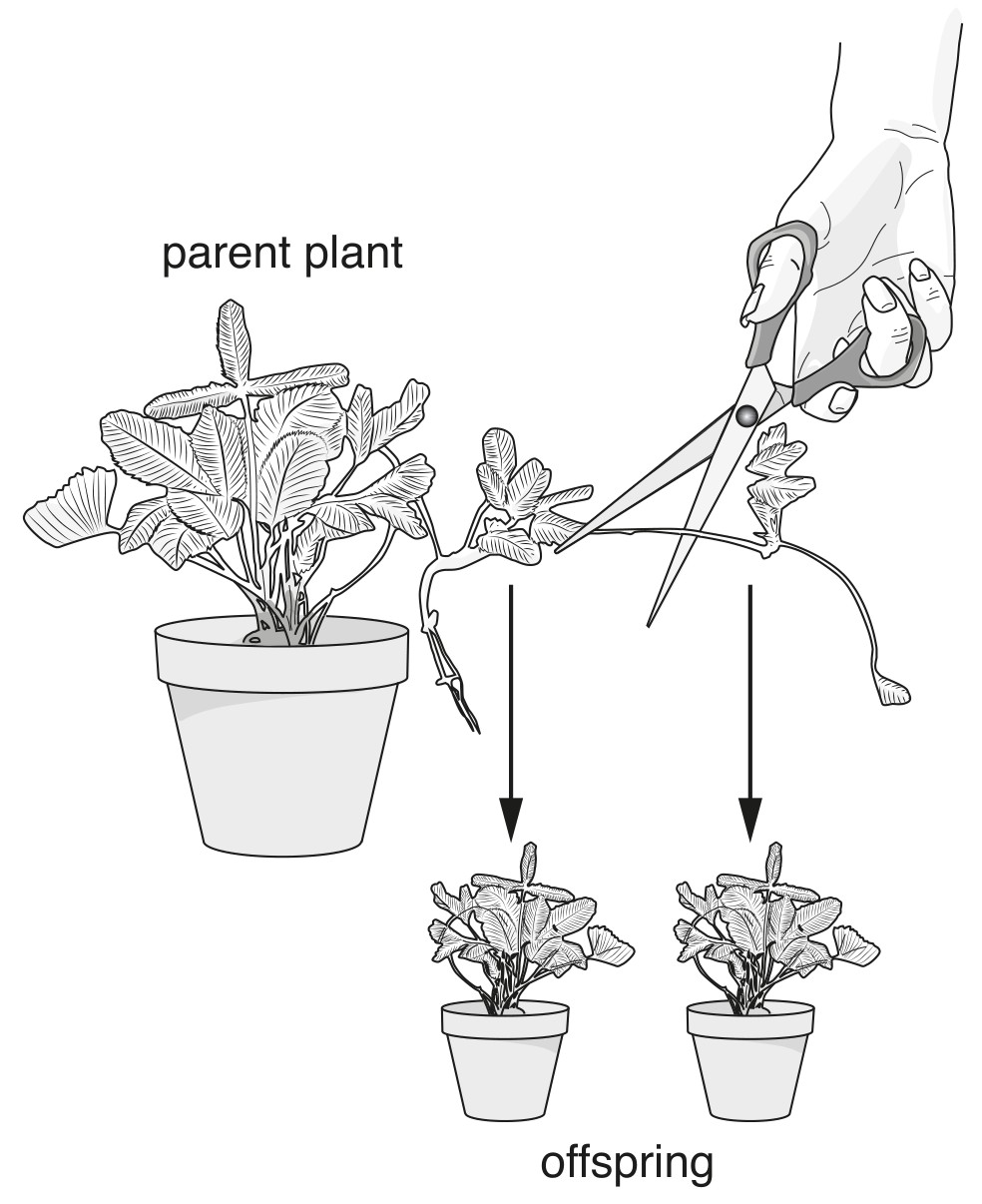 Fig. 2.3