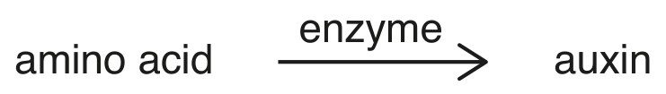 Fig. 2.2