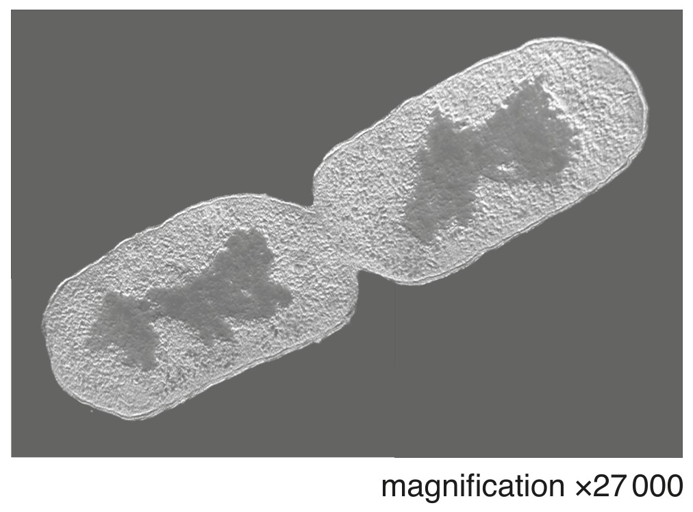 Fig. 6.1