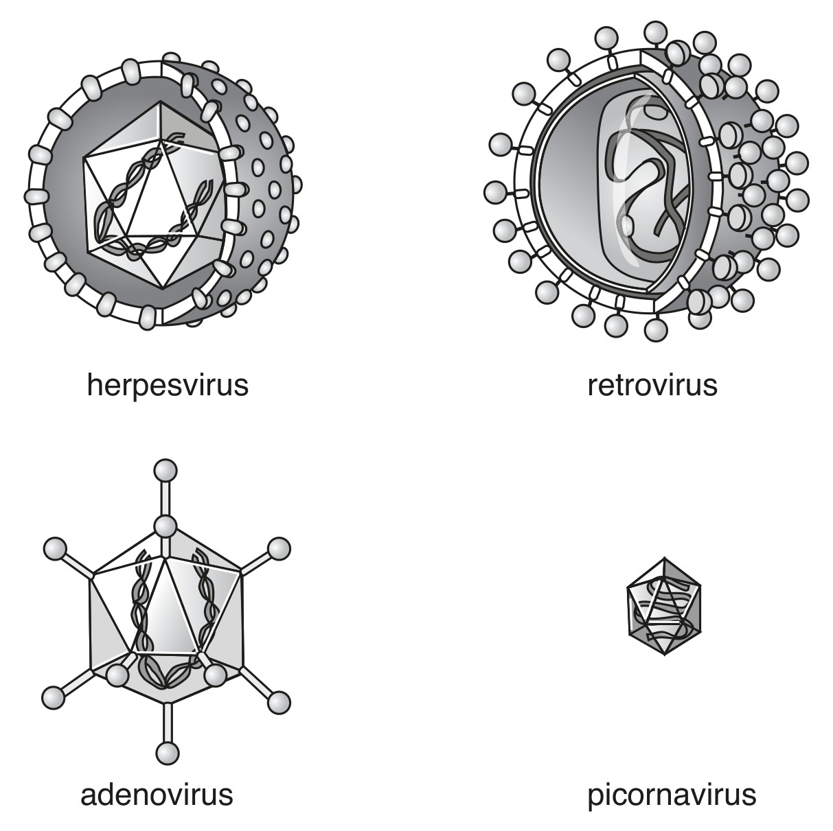Fig. 6.1