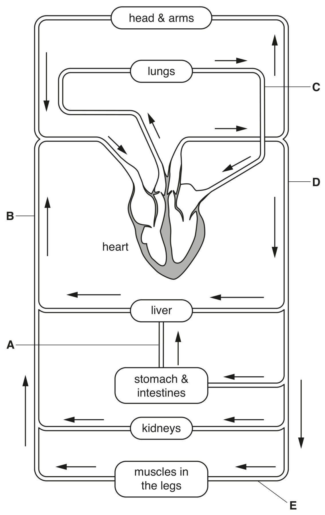 Fig. 6.1