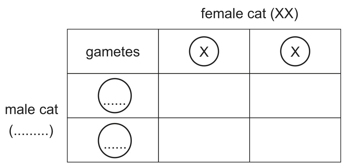 Figure for Question 6 — CAIE IGCSE Biology