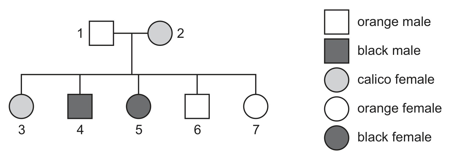 Fig. 3.1