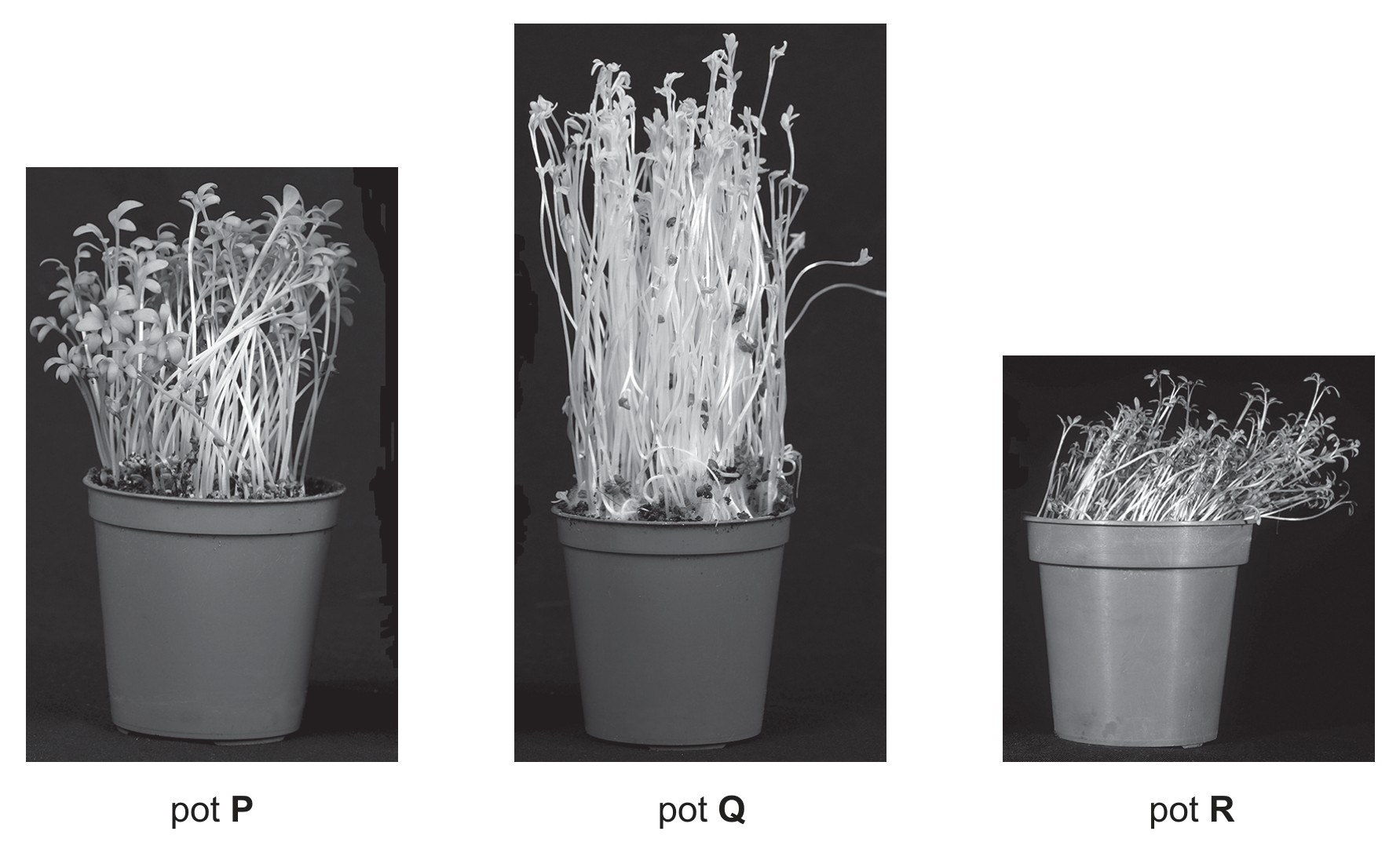Fig. 2.3
