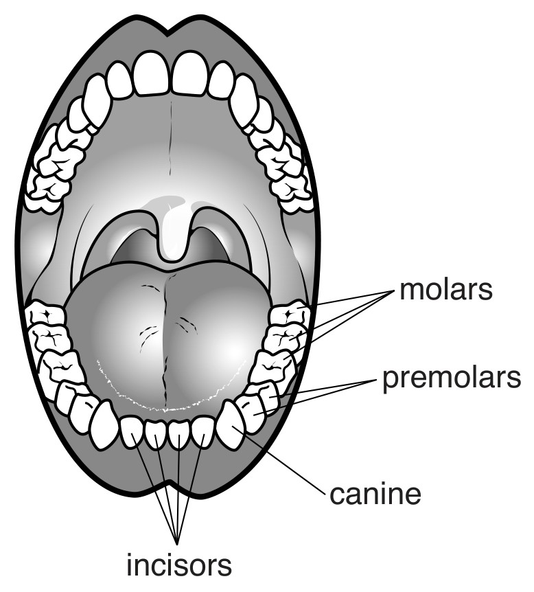 Fig. 5.1