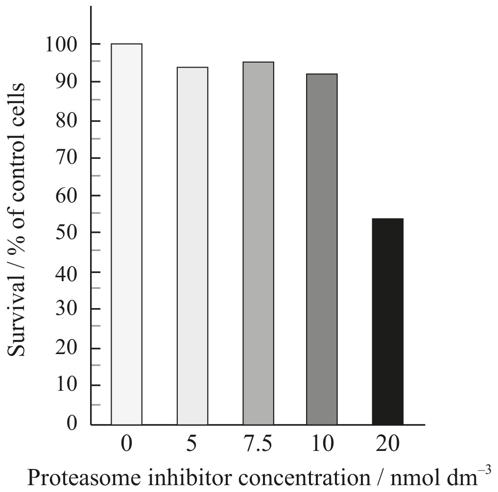 Figure for Question IB Biology HL C1.2.6 Variables Affecting Rate Questions question 1 — IB Biology HL