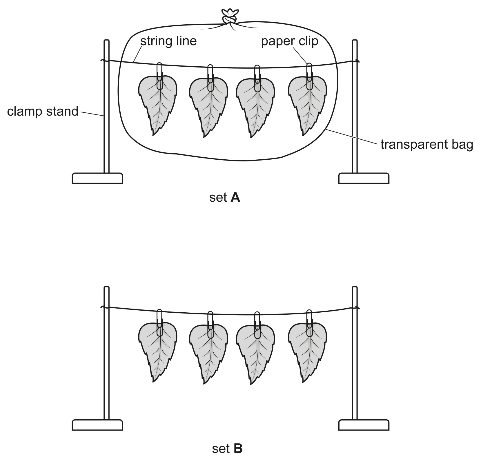Fig. 6.1
