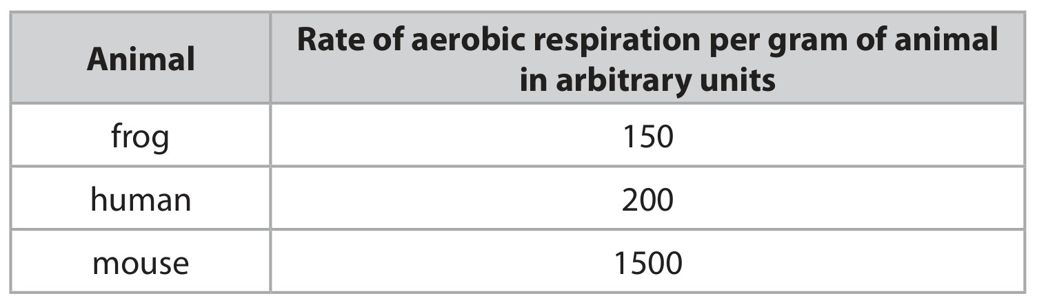 Table for Question 4 — Edexcel IGCSE Biology