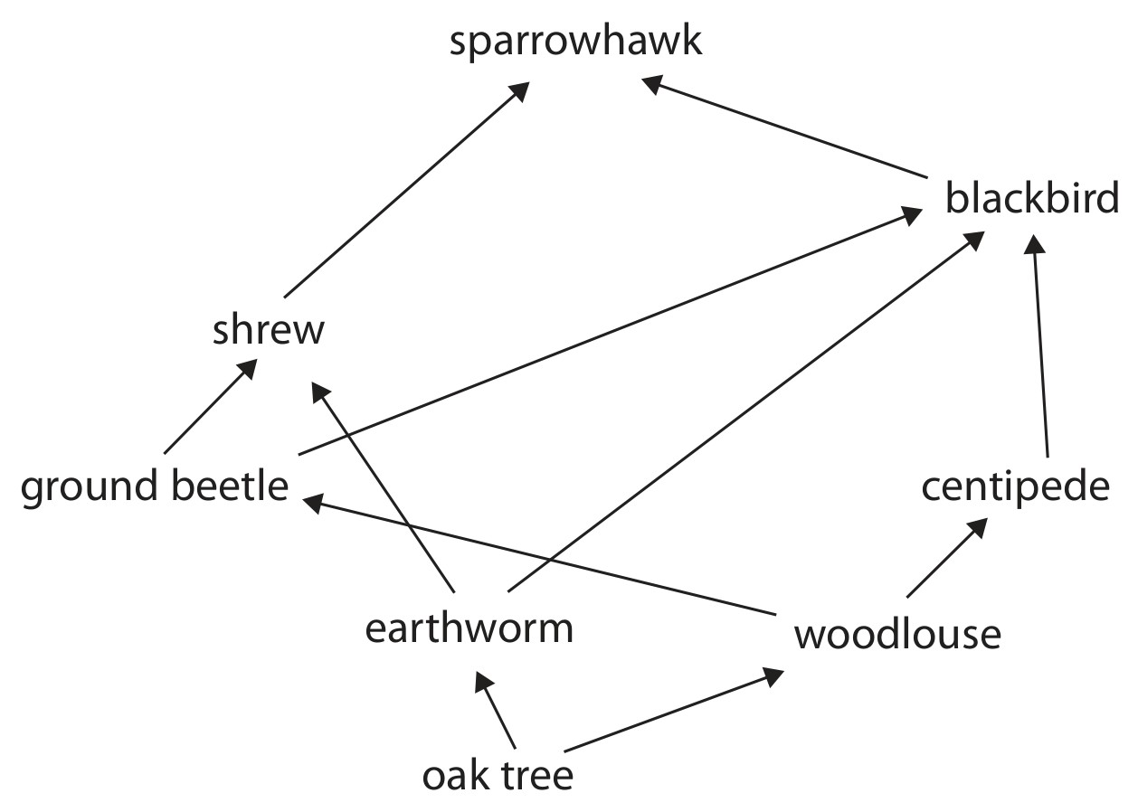 Figure for Question 4 — Edexcel IGCSE Biology