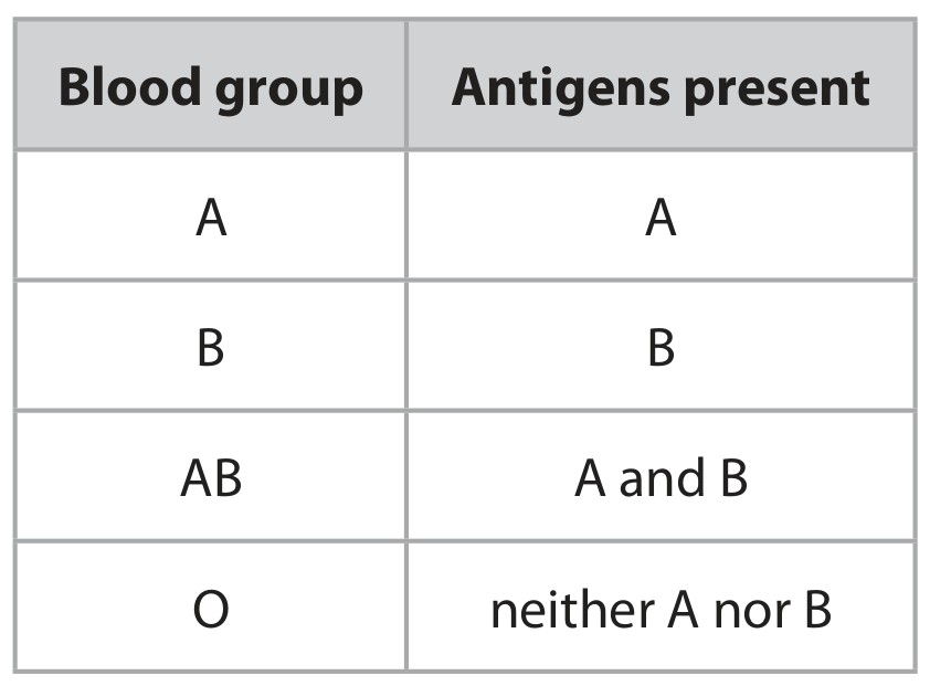 Table for Question 11 — Edexcel IGCSE Biology