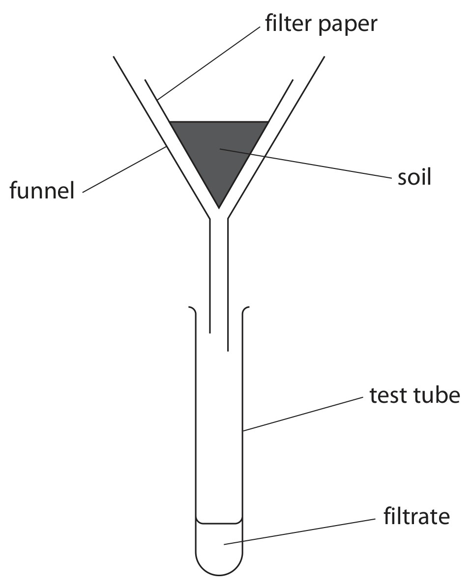 Figure for Question 1 — Edexcel IGCSE Biology