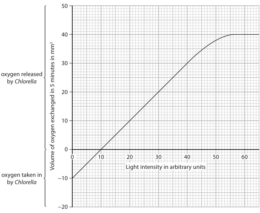 Figure for Question Edexcel IGCSE Biology 2 44b Light Intensity and Net Gas Exchange Questions question 1 — Edexcel IGCSE Biology