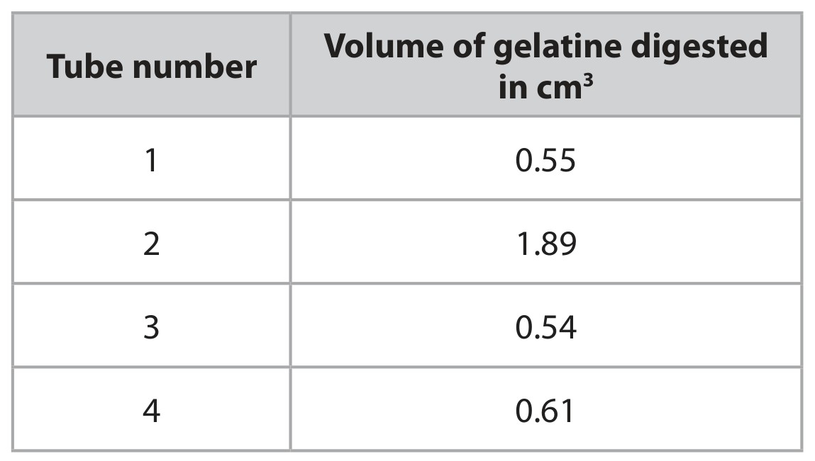 Table for Question 12 — Edexcel IGCSE Biology