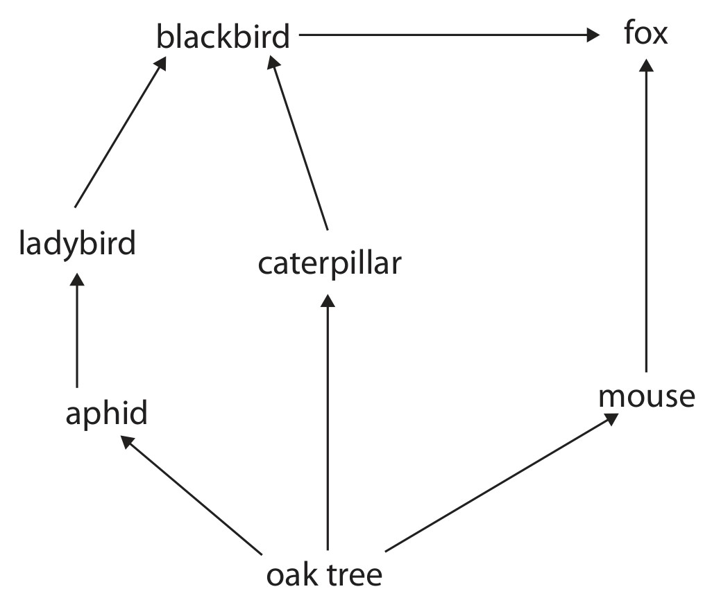 Figure for Question 4 — Edexcel IGCSE Biology