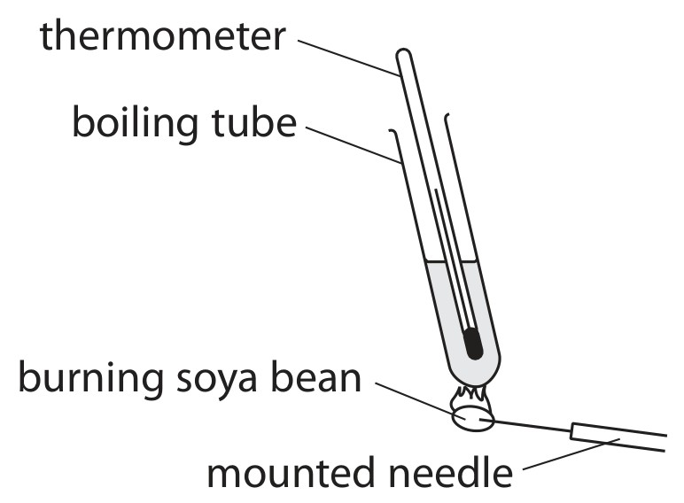 Figure for Question 4 — Edexcel IGCSE Biology