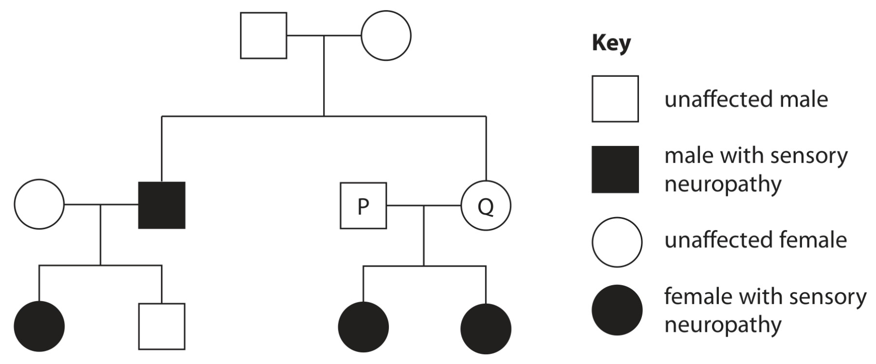Figure for Question 15 — Edexcel IGCSE Biology
