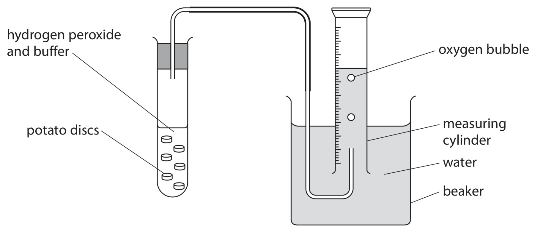 Figure for Question 6 — Edexcel IGCSE Biology