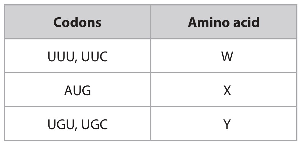 Table for Question 26 — Edexcel IGCSE Biology