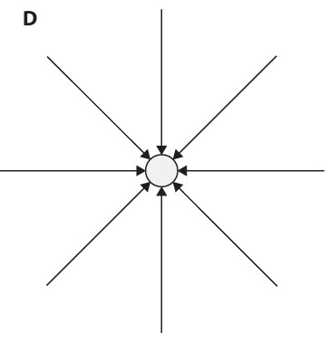 Figure for Question 5 — Edexcel IGCSE Physics — Option D
