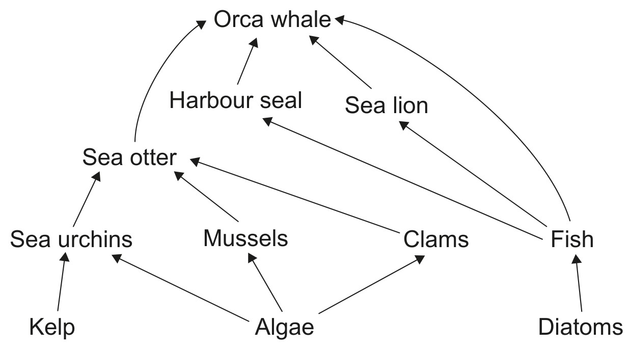 Figure for Question IB Biology HL C4.2.16 Secondary Production Questions question 1 — IB Biology HL