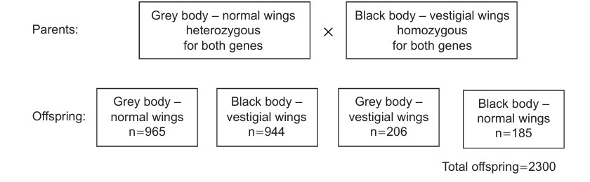 Figure for Question IB Biology HL D3.2.21 Hl Chi Squared Test Questions question 1 — IB Biology HL