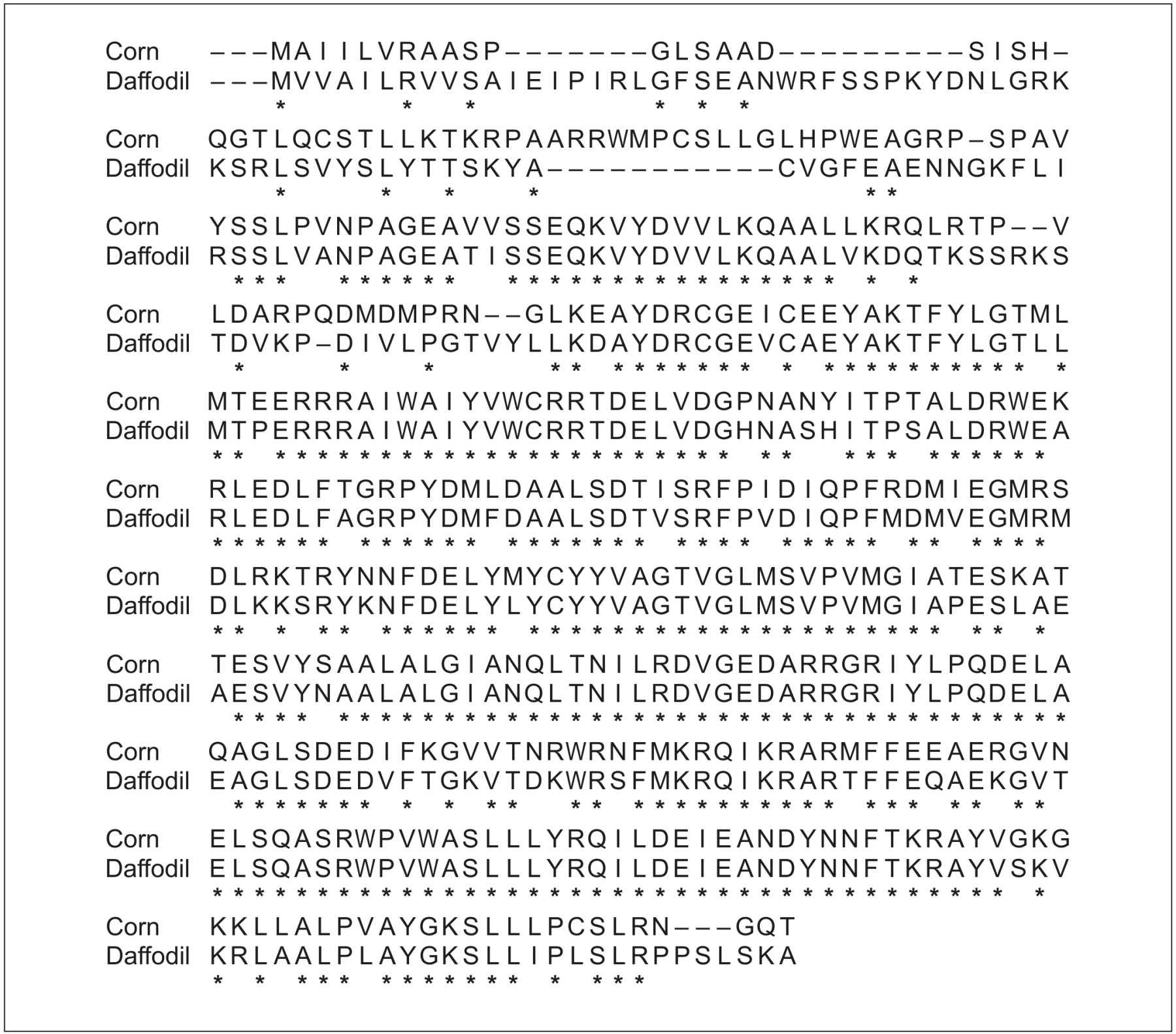 Table for Question IB Biology HL D1.3.10 Hl Conserved Sequences Questions question 1 — IB Biology HL