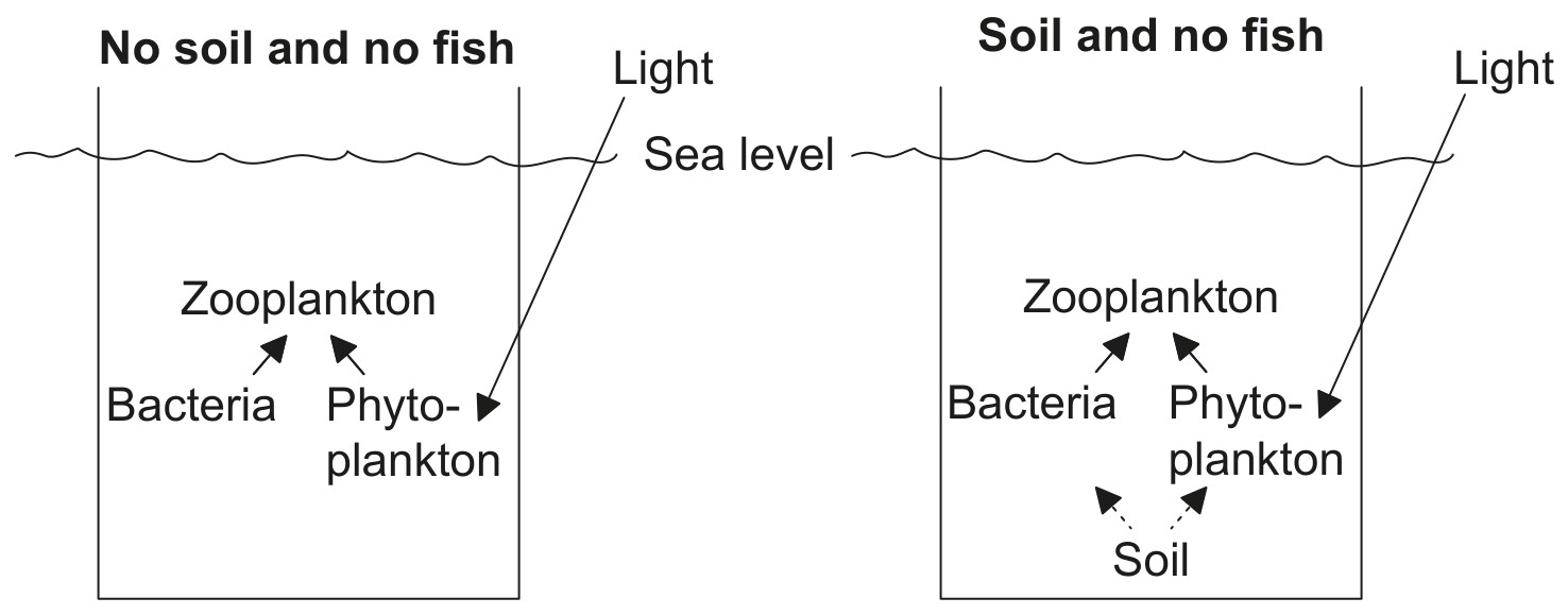 Figure for Question 1 — IB Biology HL