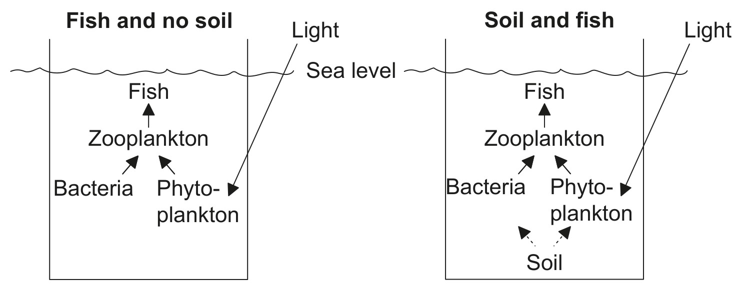 Figure for Question 3 — IB Biology HL