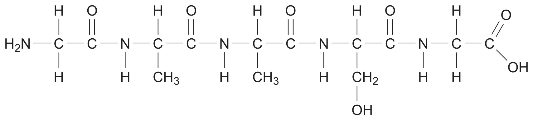 Figure for Question IB Biology HL B1.2.2 Condensation Reactions Questions question 1 — IB Biology HL