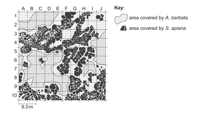 Figure for Question IB Biology HL C4.1.15 Chi Squared Test Questions question 1 — IB Biology HL