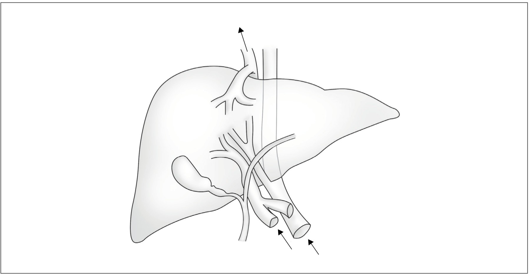 Figure for Question 3 — IB Biology HL