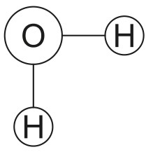 Figure for Question IB Biology HL A1.1.2 Hydrogen Bonds in Water Questions question 1 — IB Biology HL
