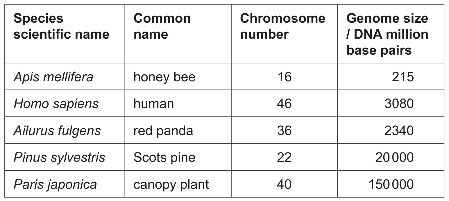 Table for Question IB Biology SL A3.1.10 Comparison of Genome Sizes Questions question 1 — IB Biology SL
