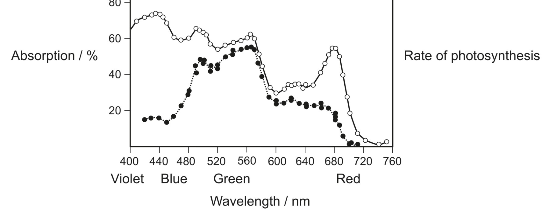 Figure for Question IB Biology HL C1.3.4 Photosynthetic Pigment Separation Questions question 1 — IB Biology HL