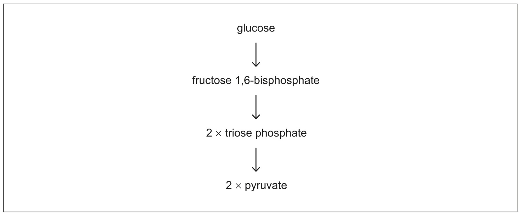 Figure for Question IB Biology HL C1.2.9 Hl Pyruvate Lactate Questions question 1 — IB Biology HL